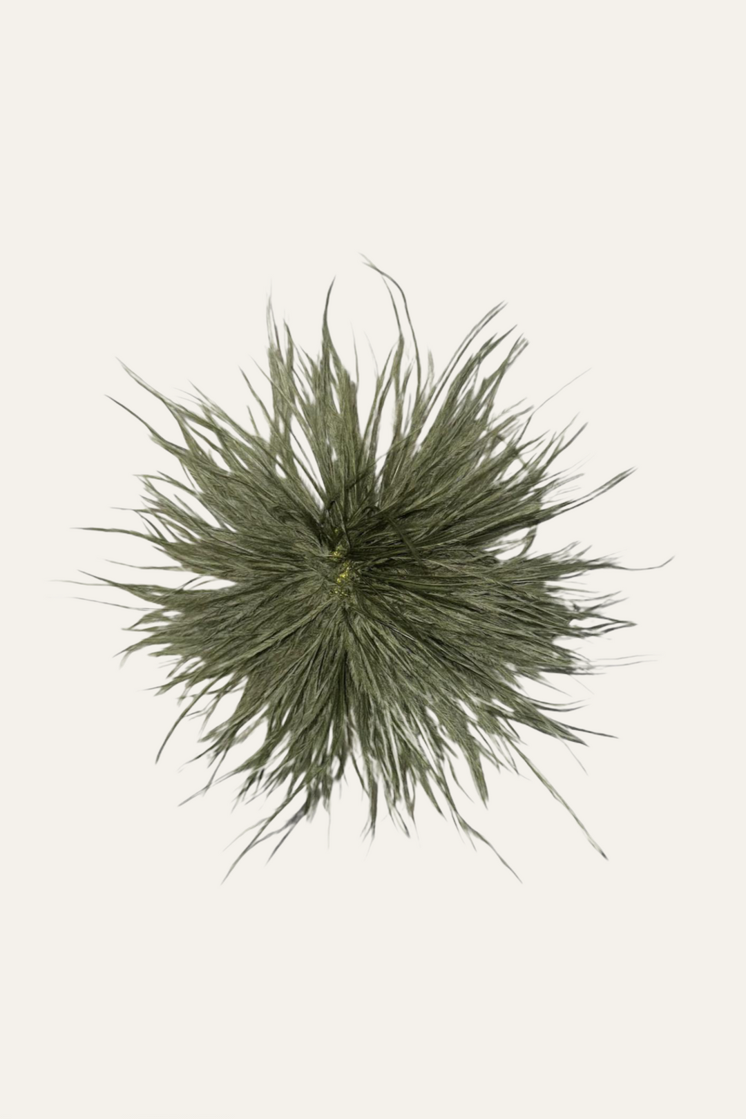 Federbrosche "Blume Pop“