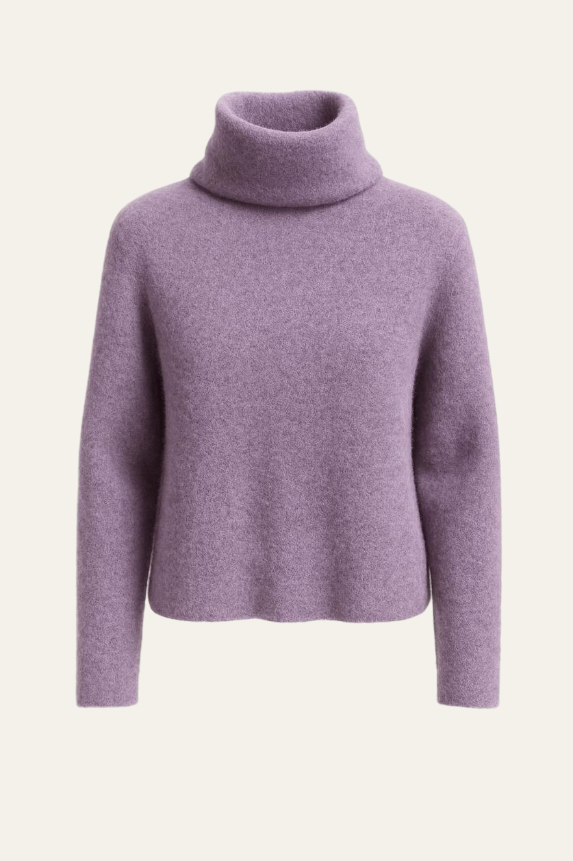 Rollkragenpullover "Ranaldaa"