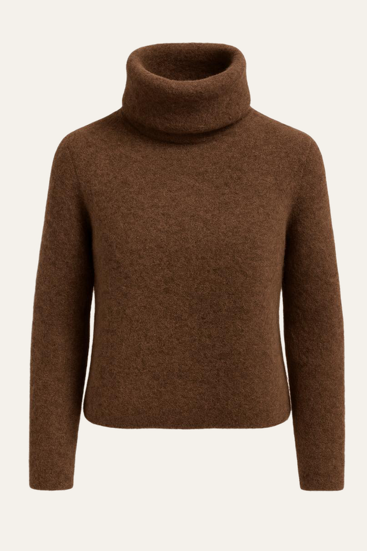 Rollkragenpullover "Ranaldaa"