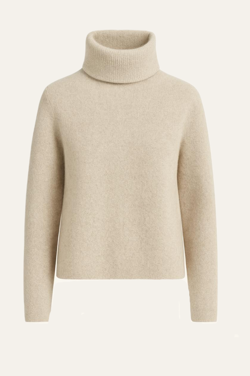 Rollkragenpullover "Ranaldaa"