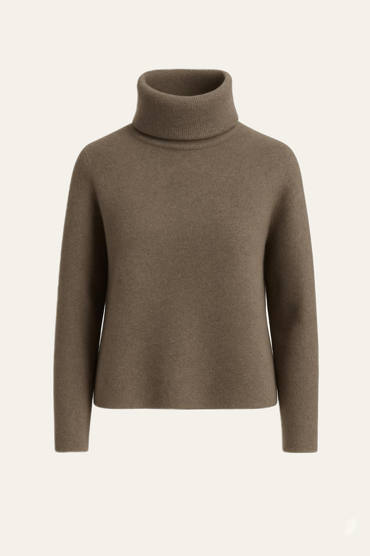 Rollkragenpullover "Ranaldaa"