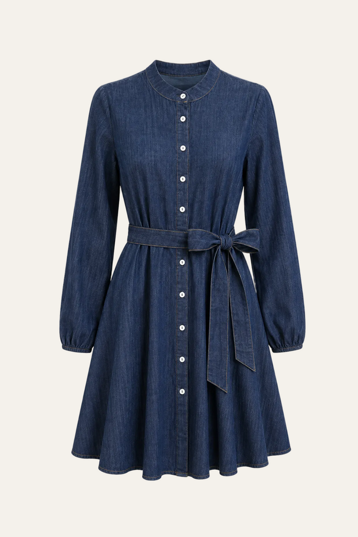 Denim Kleid "Denellyy"