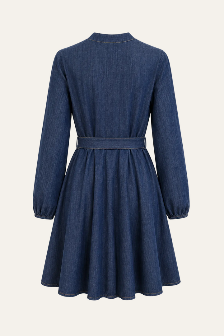 Denim Kleid "Denellyy"